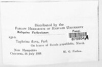 Image Associated With the Occurence